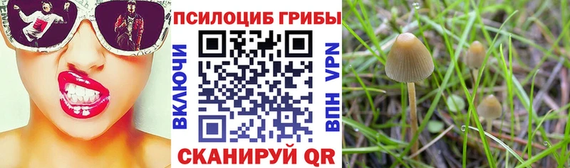 Псилоцибиновые грибы Psilocybine cubensis  кракен вход  Усмань 
